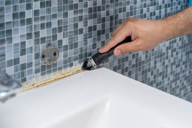 Best White Mold Remediation in Palmview South, TX